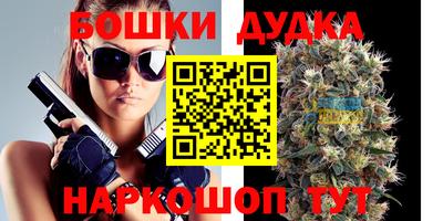 дмт Ставрополь