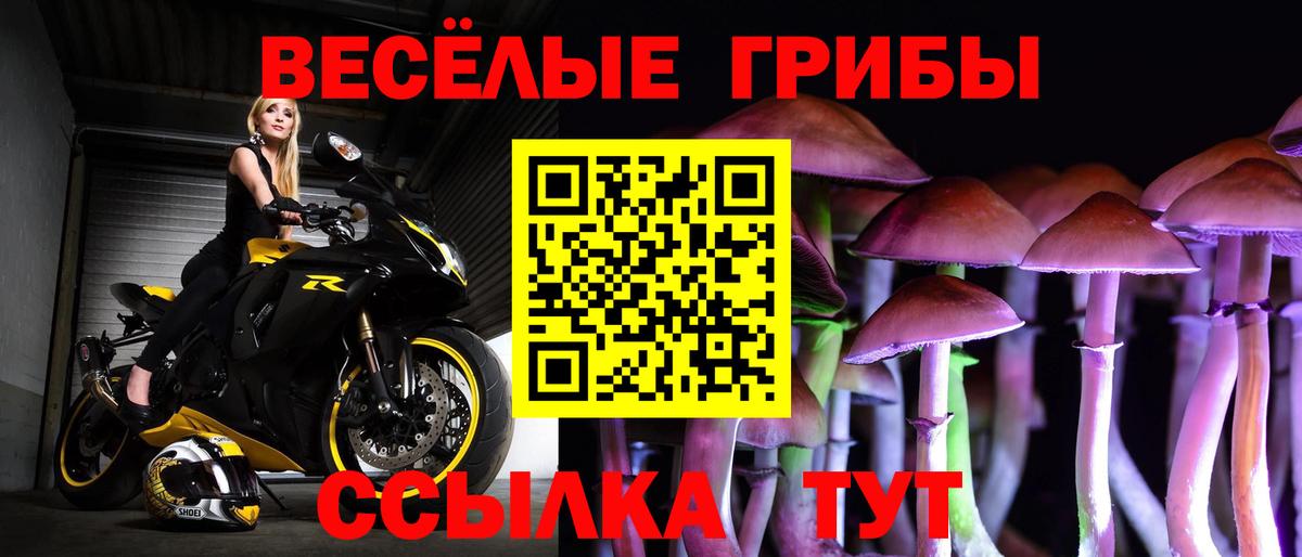 Полысаево  Галлюциногенные грибы ЛСД  Галлюциногенные грибы ЛСД  Вход с VPN 